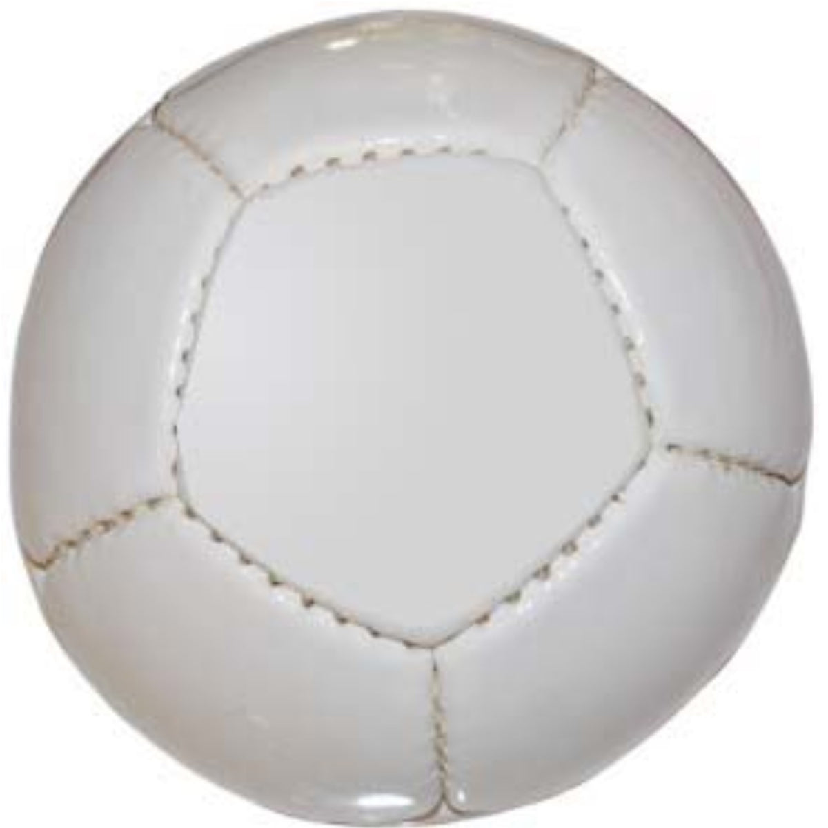 Arena Polo Ball Small