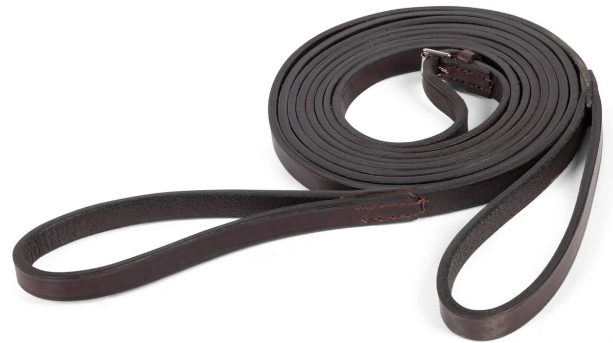 Argentine Draw Reins