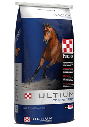 Horse Feed
