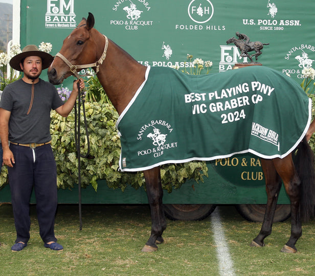Horse Blankets
