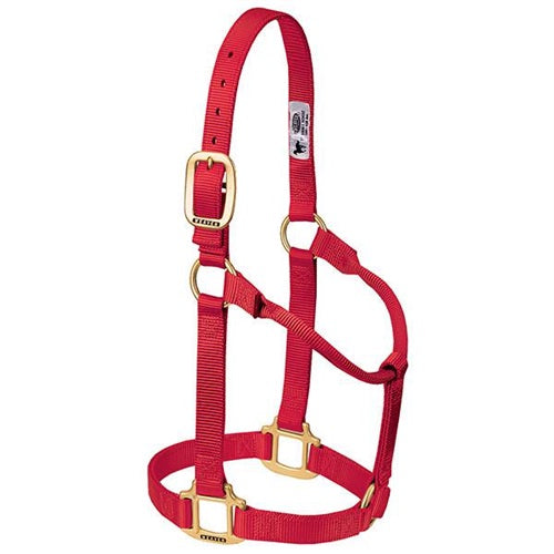 Halters / Leads / Muzzles