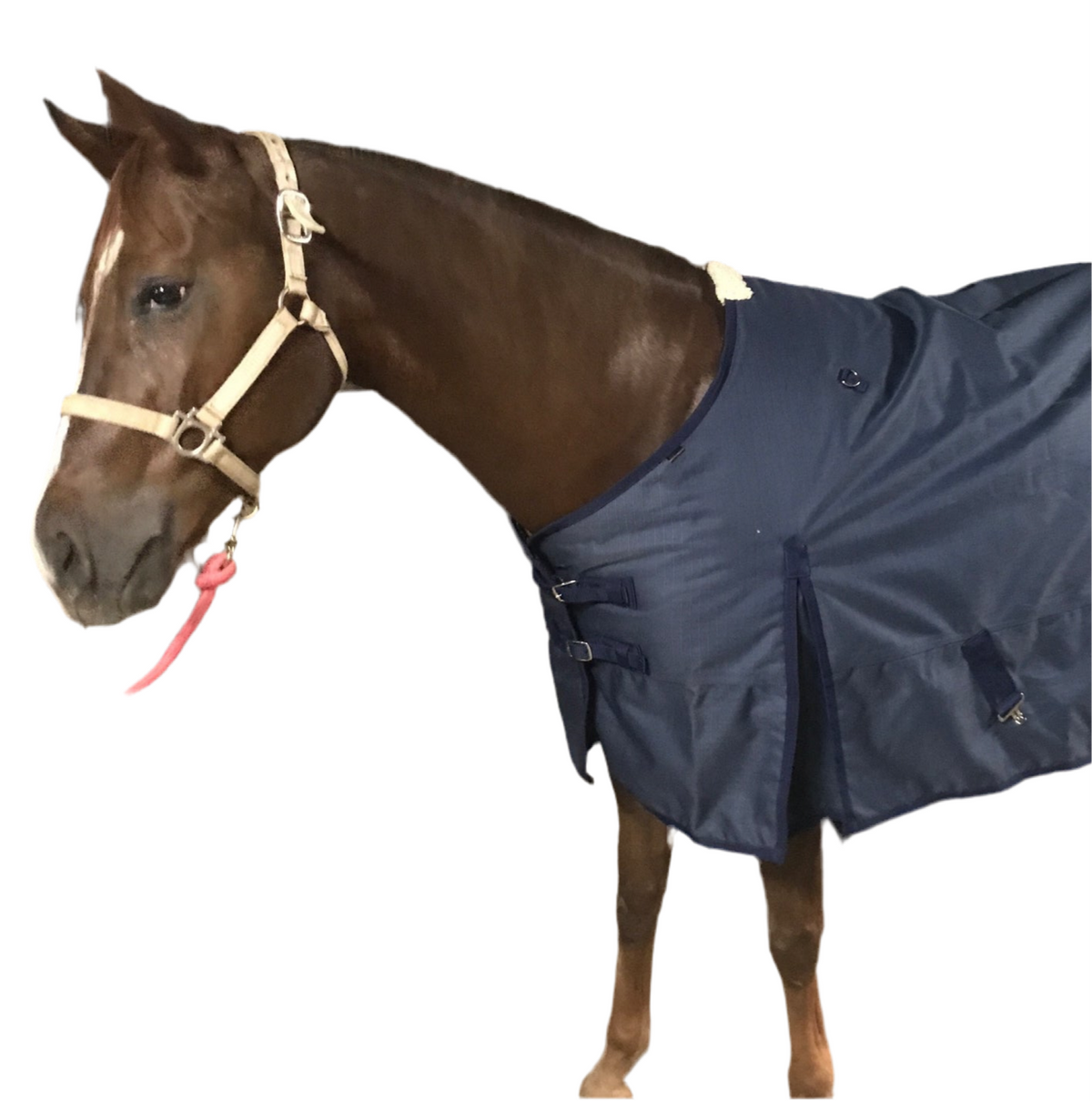 All Weather Overnight Blanket