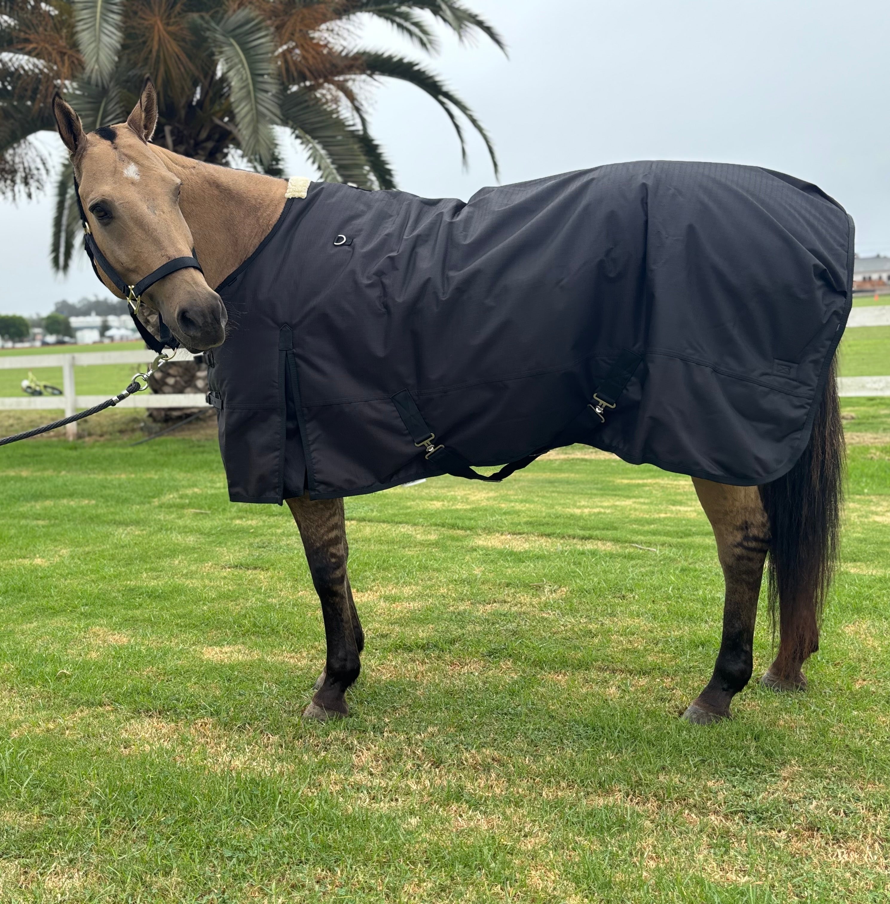 その他 ALL WEATHER BLANKET All Weather Overnight Blanket - Jackson Hole Horse Emporium