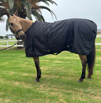All Weather Overnight Blanket