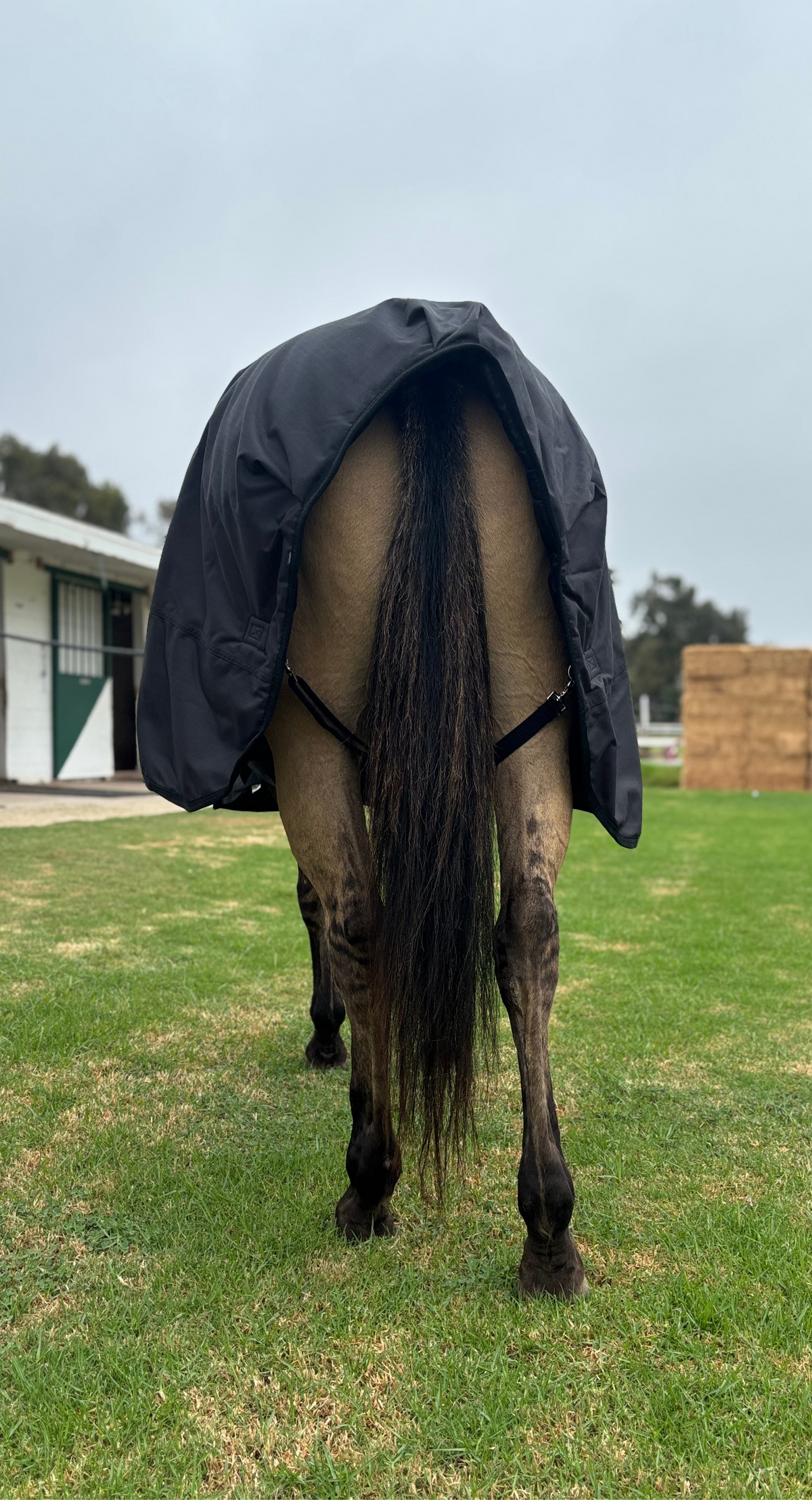 All Weather Overnight Blanket