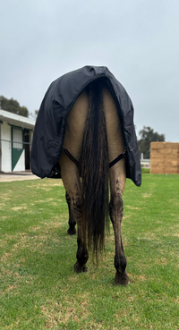 All Weather Overnight Blanket