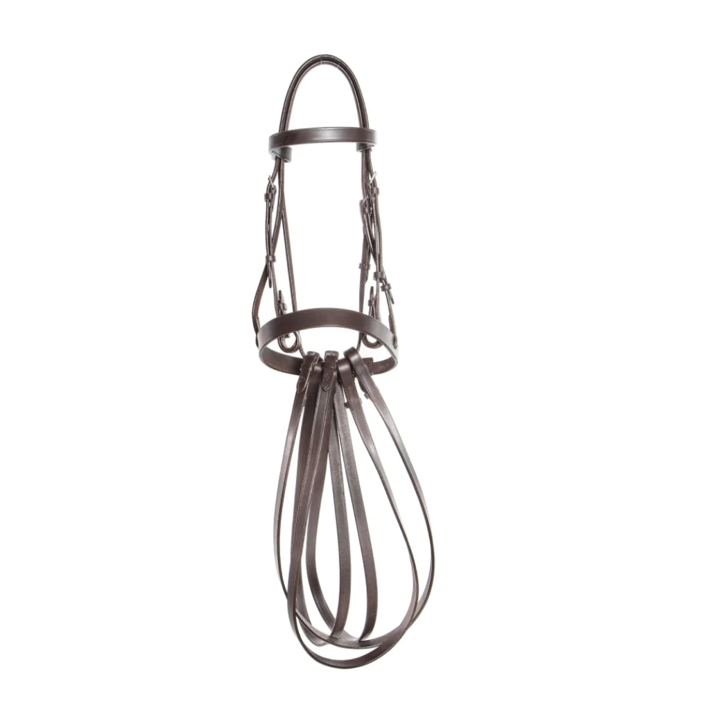 Ainsley Polo Bridle