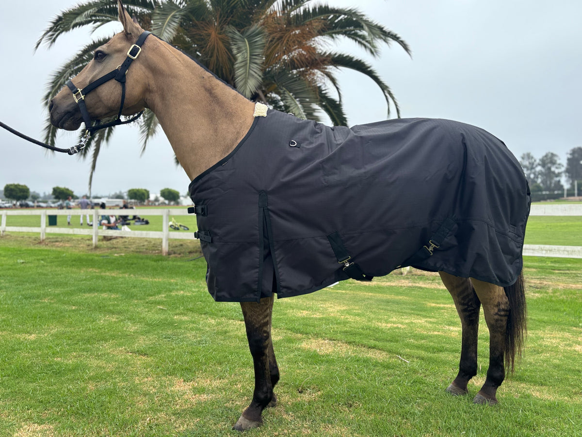 All Weather Overnight Blanket