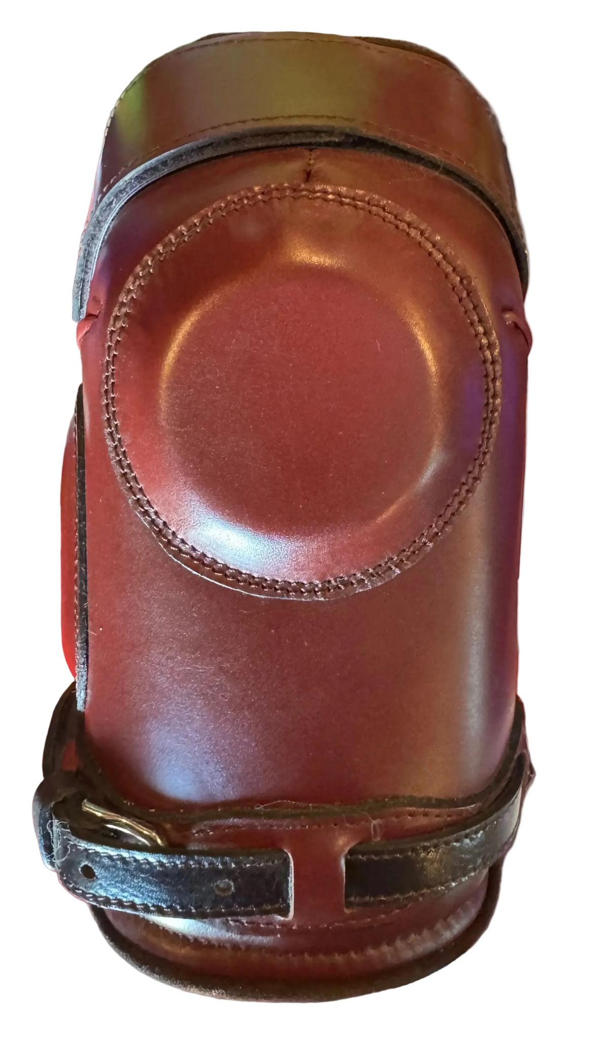 Argentine Polo Knee Guard Combo/Buckle