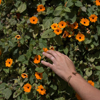 Indigo Bee Mallet Bracelets