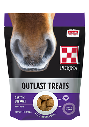 Outlast Horse Treats