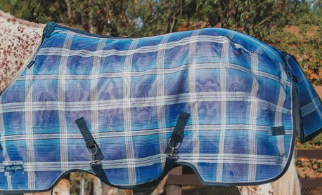 Kensington Fly Sheet