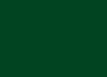 Premium Solid Color Overgirths