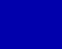 Premium Solid Color Overgirths