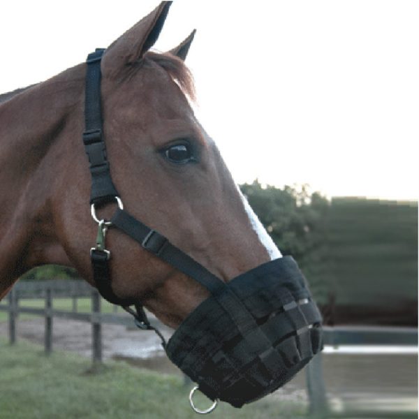 Black Web Muzzle with Headstall