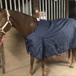 Traileze All Weather Blanket